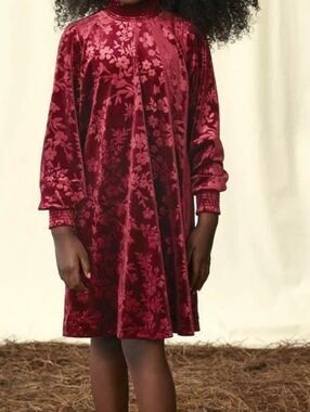 Matilda Jane Velvet Floral Shift Dress in Deep Red